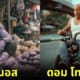 ปก pasko boyoh เมื่อตัวละครในหนังดังต้องใช้ชีวิตอย่างยากลำบาก