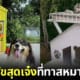 ปก บ้านสุนัขสุดเจ๋งของชาว Reddit