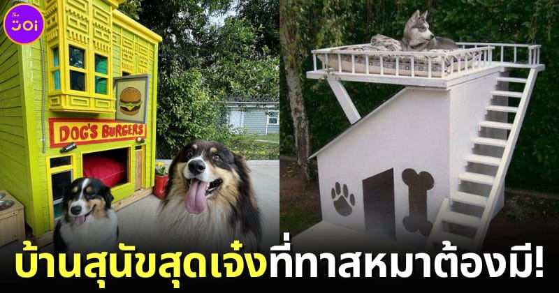 ปก บ้านสุนัขสุดเจ๋งของชาว Reddit