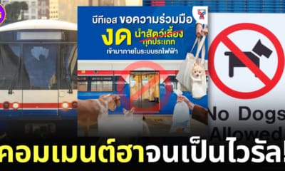 ปก รถไฟฟ้า BTS ห้ามนำสัตว์เลี้ยงทุกชนิดเข้ามาในระบบรถไฟฟ้า