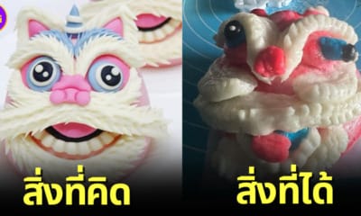 ปก สาวทำซาลาเปามังกรครั้งแรกในชีวิต ต้อนรับตรุษจีน