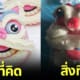 ปก สาวทำซาลาเปามังกรครั้งแรกในชีวิต ต้อนรับตรุษจีน