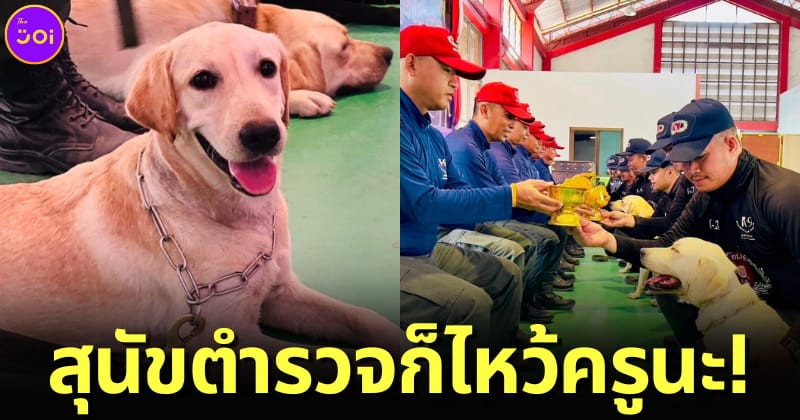 ปก สุนัข k9 มอบพานไหว้ครู
