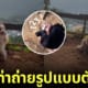 ปก สุนัขบอร์เดอร์ คอลลี่ โพสท่าน่ารักถ่ายรูปบนดอย เชียงใหม่
