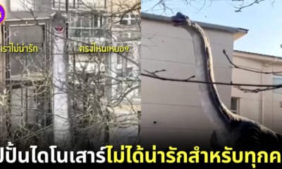 ปก หนุ่มจีนผวานอนไม่หลับ เพราะรูปปั้นไดโนเสาร์เพื่อนบ้านน่ากลัว