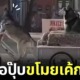 ปก หมาไซบีเรียนขโมยรถสามล้อของพ่อค้าขายเค้ก จีน