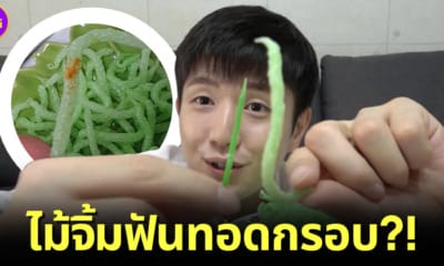 ปก เกาหลีใต้ห้ามกินไม้จิ้มฟันทอดกรอบหลังเป็นไวรัลบนโลกโซเชียล