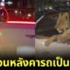 ปก เจ้าของศรีลังกาเฉลย พาลูกสิงโตนั่งรถชมวิว เพราะกลัวข่วนหลังคารถเป็นรอย