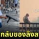 ลิงลพบุรีถือปืน