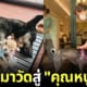 น้องย่น จากหมาถูกเจ้าอาวาสตัจนตาบอดกลายเป็นคุณหนูบ้านทายาทห้างทอง
