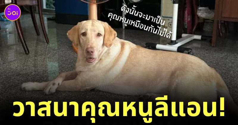 สุนัขสอบตกตำรวจ คุณหนูลีแอน