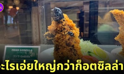 ก็อตซิลล่าชุบแป้งทอด ร้านญี่ปุ่น