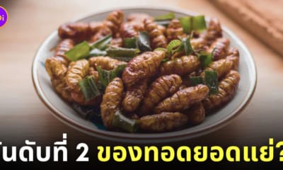 หนอนไหมทอด อาหารยอดแย่ของโลก