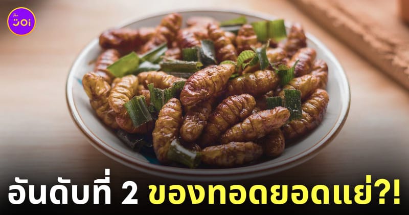 หนอนไหมทอด อาหารยอดแย่ของโลก