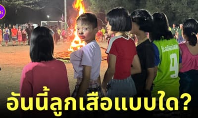 การแสดงรอบกองไฟ ค่ายลูกเสือ