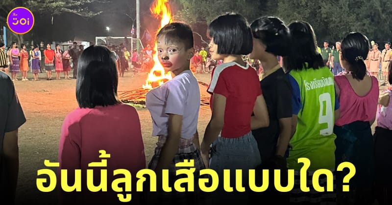 การแสดงรอบกองไฟ ค่ายลูกเสือ