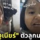 น้องจูเนียร์ สอนแต่งหน้า บิวตี้บล็อกเกอร์