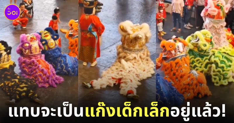 คลิปวิดีโอทีมเชิดสิงโตหลากสีในต่างประเทศดุ๊กดิ๊กไปมา