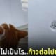 แมวเหยียบพื้นหิมะแค่ 1 ก้าว
