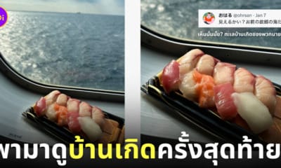 แคปชั่นฮา ซูชิหน้าปลา ทะเลญี่ปุ่น