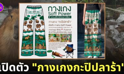 กางเกงกะปิปลาร้า คาปิบาร่า หมามะพร้าว สวนสัตว์เปิดเขาเขียว