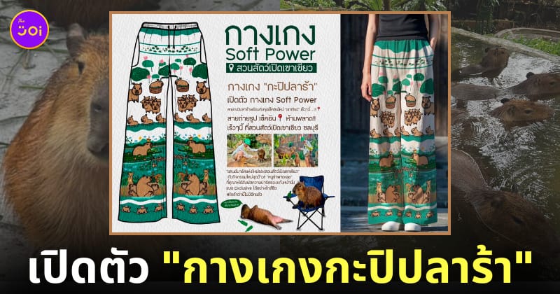 กางเกงกะปิปลาร้า คาปิบาร่า หมามะพร้าว สวนสัตว์เปิดเขาเขียว