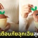 ตุ๊กตาต้นแมนดราโกรา เตือนภัย