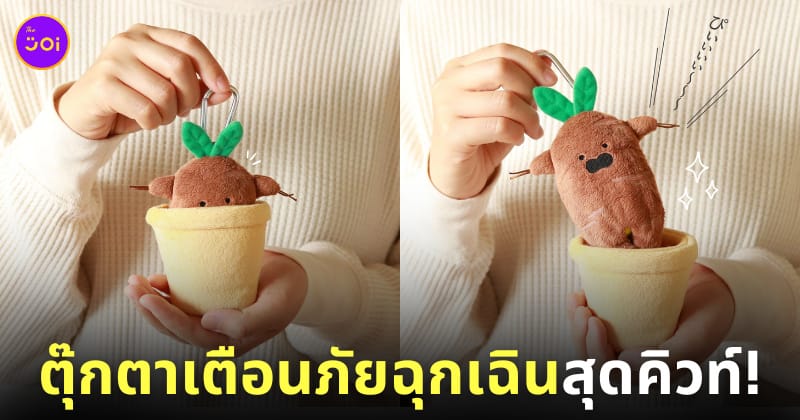 ตุ๊กตาต้นแมนดราโกรา เตือนภัย
