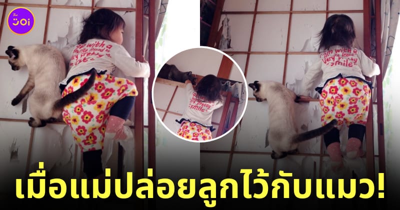 ภาพลูกสาวปีนประตูตามแมว