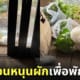 ภาพน้องเป็ดนอนหนุนผักพักผ่อน