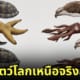 ภาพวาดสัตว์โลกเหนือจริงสุดฮา สารานุกรมภาพวิทยาศาสตร์ ศิลปิน Tim Andraka