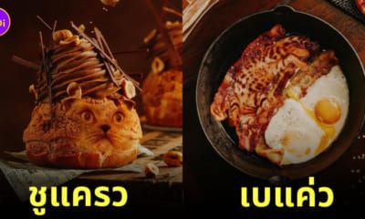 ภาพตัดต่อแมวผสมเข้ากับอาหารและขนม