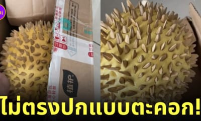 ซื้อทุเรียนออนไลน์ ทุเรียนปลอม