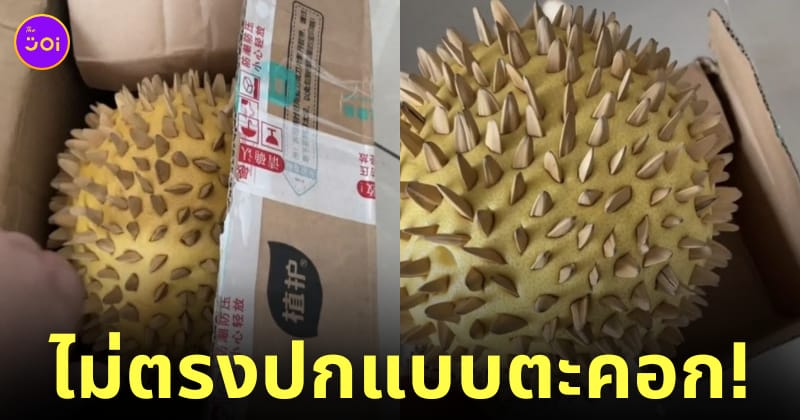 ซื้อทุเรียนออนไลน์ ทุเรียนปลอม