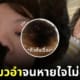สาวโดนแมวอำจนหายใจไม่ออก