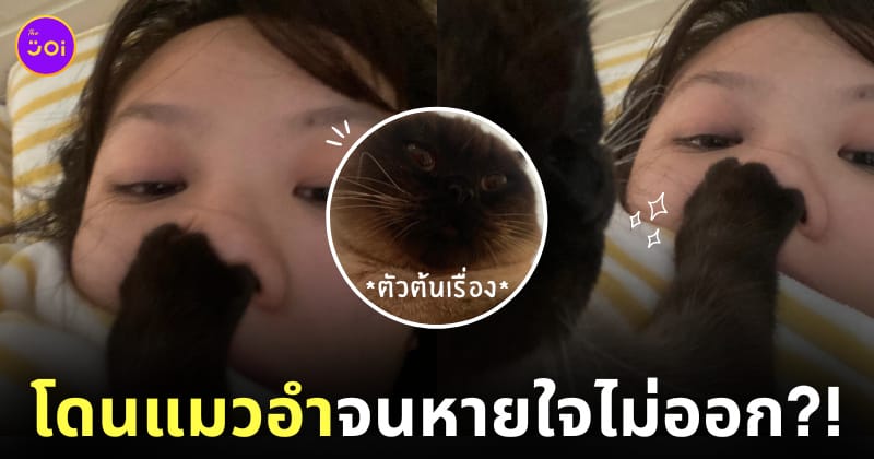สาวโดนแมวอำจนหายใจไม่ออก