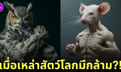 ภาพสัตว์โลก มีกล้าม ดุดันไม่เกรงใจใคร AI
