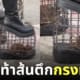 รองเท้าส้นตึกกรงหนู