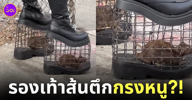 รองเท้าส้นตึกกรงหนู