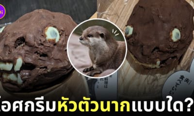 ไอศกรีมรูปหัวตัวนาก