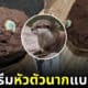ไอศกรีมรูปหัวตัวนาก