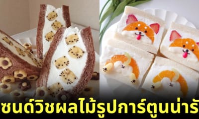 แซนด์วิชผลไม้ครีมสดรูปการ์ตูนน่ารัก