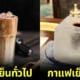 กาแฟเย็น iced coffee ประเทศญี่ปุ่น