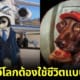 ปก 20 ภาพวาดของสัตว์โลกน่ารัก เมื่อต้องใช้ชีวิตแบบมนุษย์