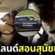 ปก SCPA นิวซีแลนด์สอนหมาจรขับรถ
