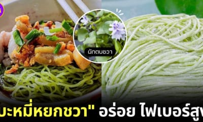 ปก บะหมี่หยกชวา