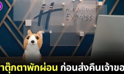ปก พนักงานโรงแรมถ่ายรูปตุ๊กตาสุนัขก่อนส่งคืนเจ้าของ