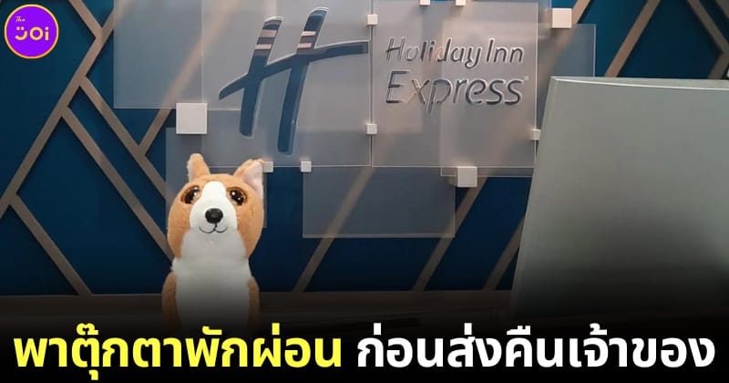ปก พนักงานโรงแรมถ่ายรูปตุ๊กตาสุนัขก่อนส่งคืนเจ้าของ