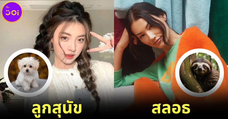ปก มาเช็คกัน บุคลิกและนิสัยแฟนสาวตรงกับสัตว์ชนิดใด