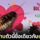 ปก สวนสัตว์บรองซ์ในนิวยอรืก เปิดให้ตั้งชื่อแมลงสาบด้วยชื่อแฟนเก่า